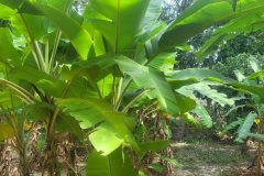 WhatsApp-Image-2026-04-03-at-12.52.44-PM