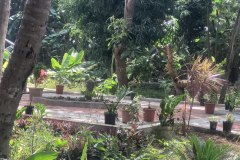 WhatsApp-Image-2026-04-03-at-12.55.16-PM-1