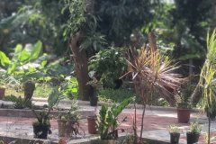 WhatsApp-Image-2026-04-03-at-12.55.16-PM