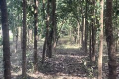 WhatsApp-Image-2026-04-03-at-12.55.17-PM-1