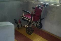 WhatsApp-Image-2026-04-03-at-12.55.34-PM